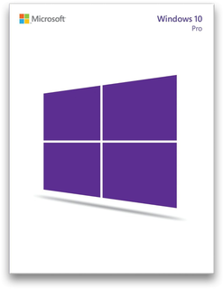 Microsoft Windows 10 Professional W3