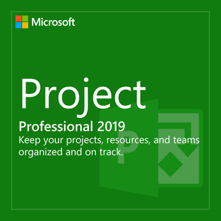 Microsoft Project 2019 Professional Z